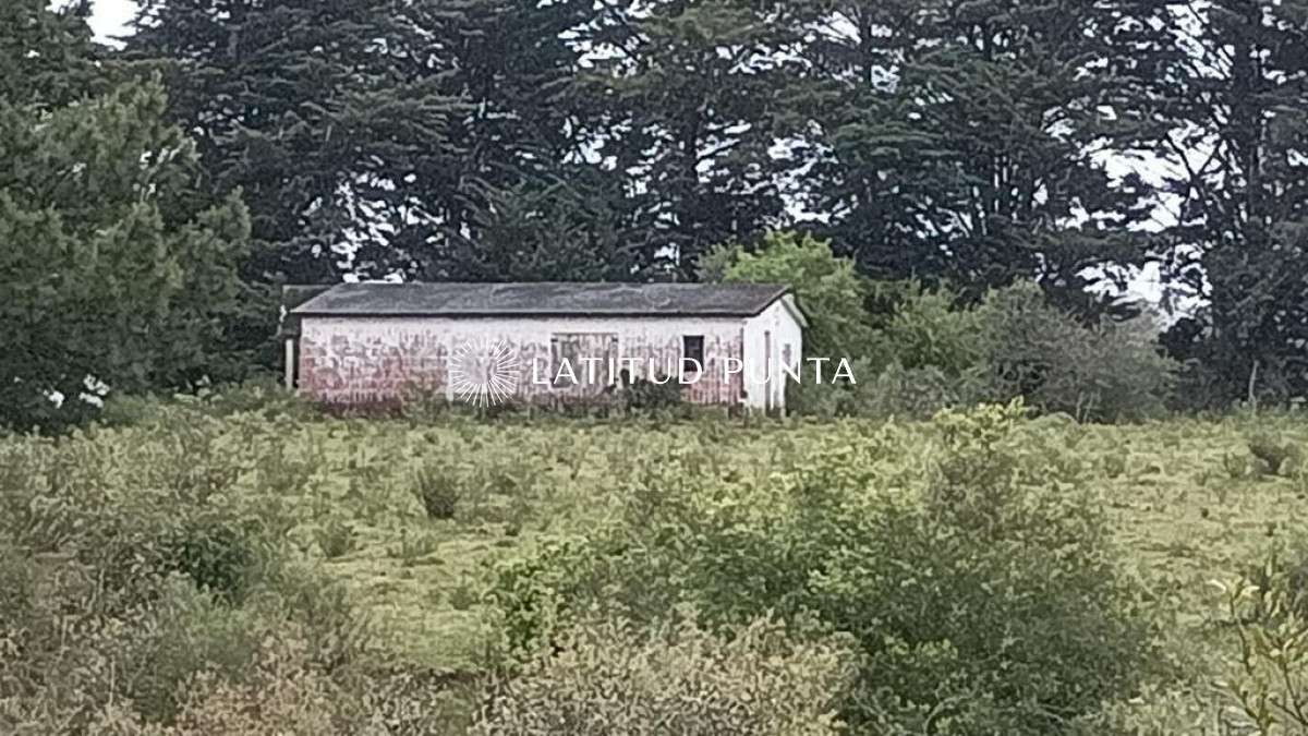 La Capuera - GoPunta - Portal Inmobiliario de Punta del Este - Maldonado