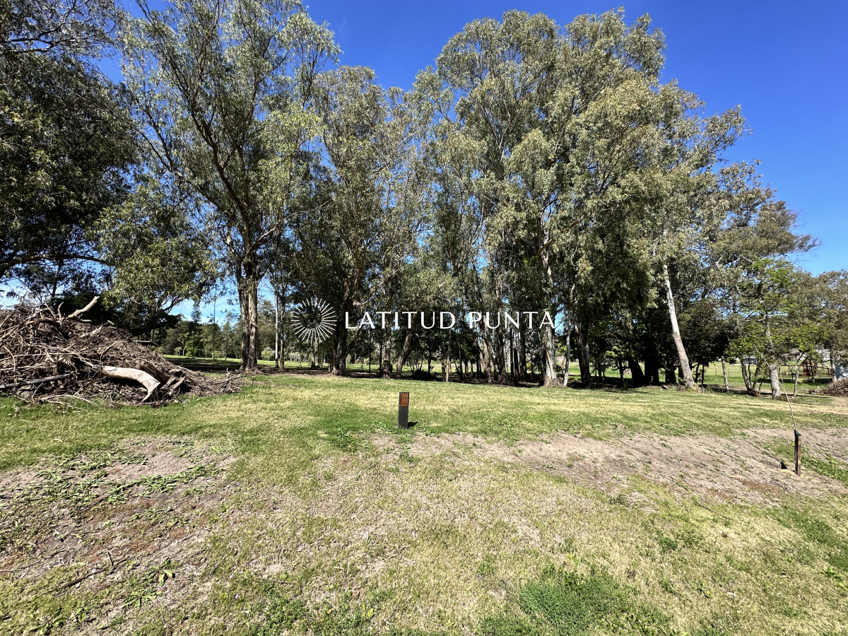 La Jacinta - GoPunta - Portal Inmobiliario de Punta del Este - Maldonado