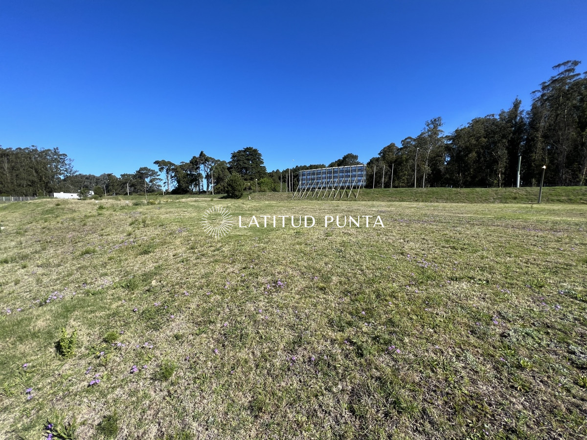 El Jaguel - GoPunta - Portal Inmobiliario de Punta del Este - Maldonado