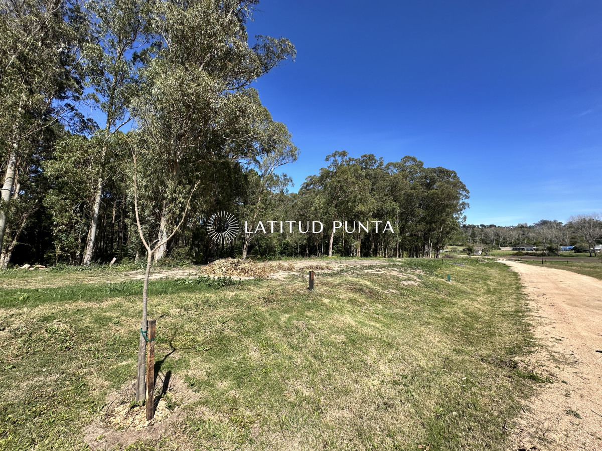 La Jacinta - GoPunta - Portal Inmobiliario de Punta del Este - Maldonado