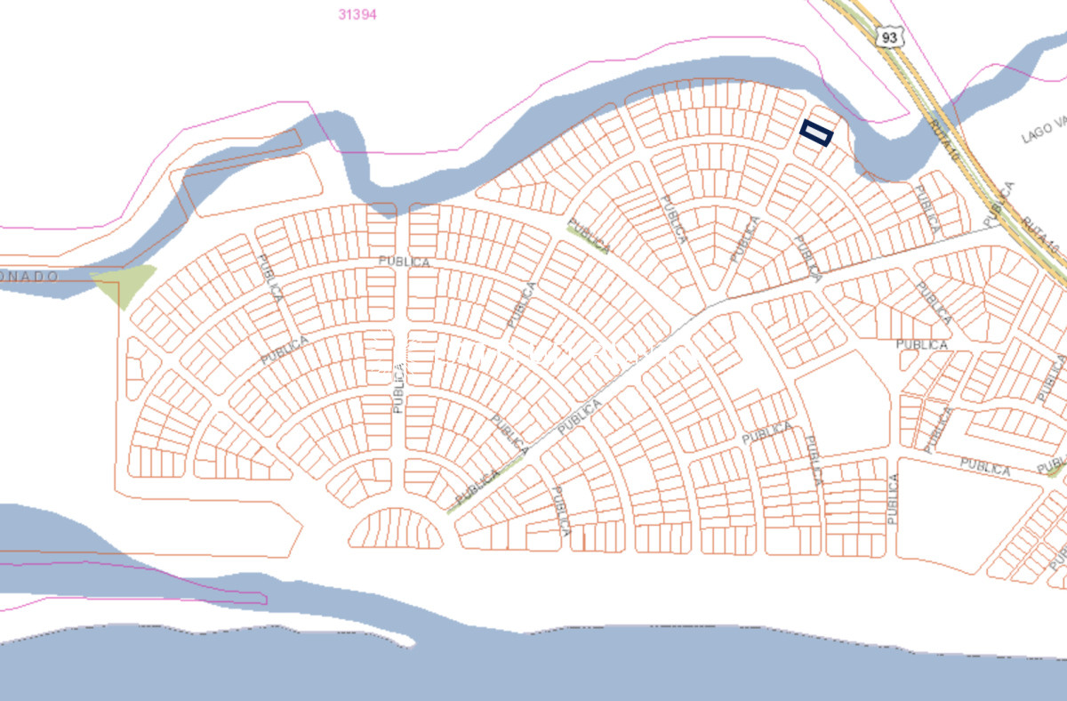 Chihuahua - GoPunta - Portal Inmobiliario de Punta del Este - Maldonado