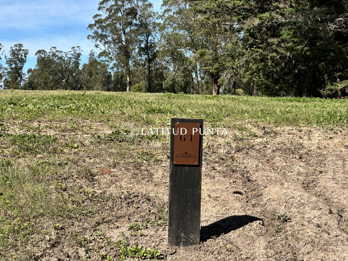 La Jacinta - GoPunta - Portal Inmobiliario de Punta del Este - Maldonado