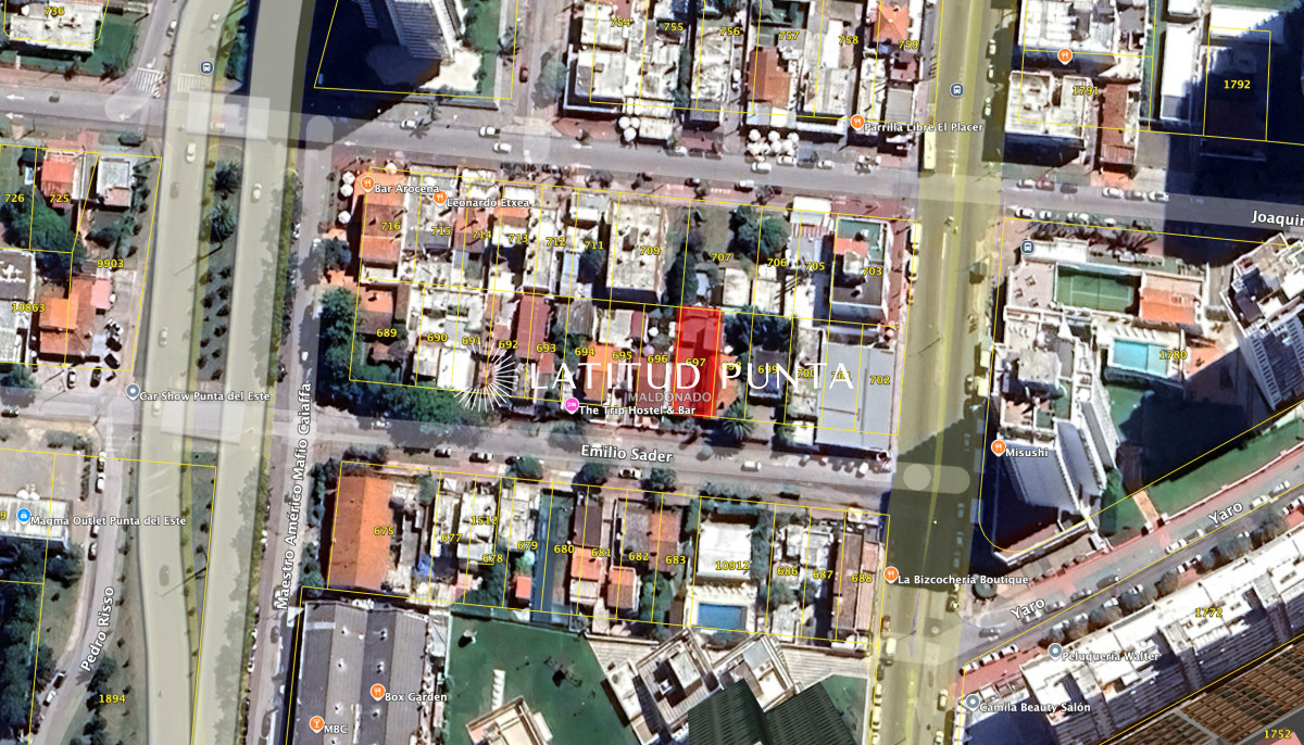 Brava - GoPunta - Portal Inmobiliario de Punta del Este - Maldonado