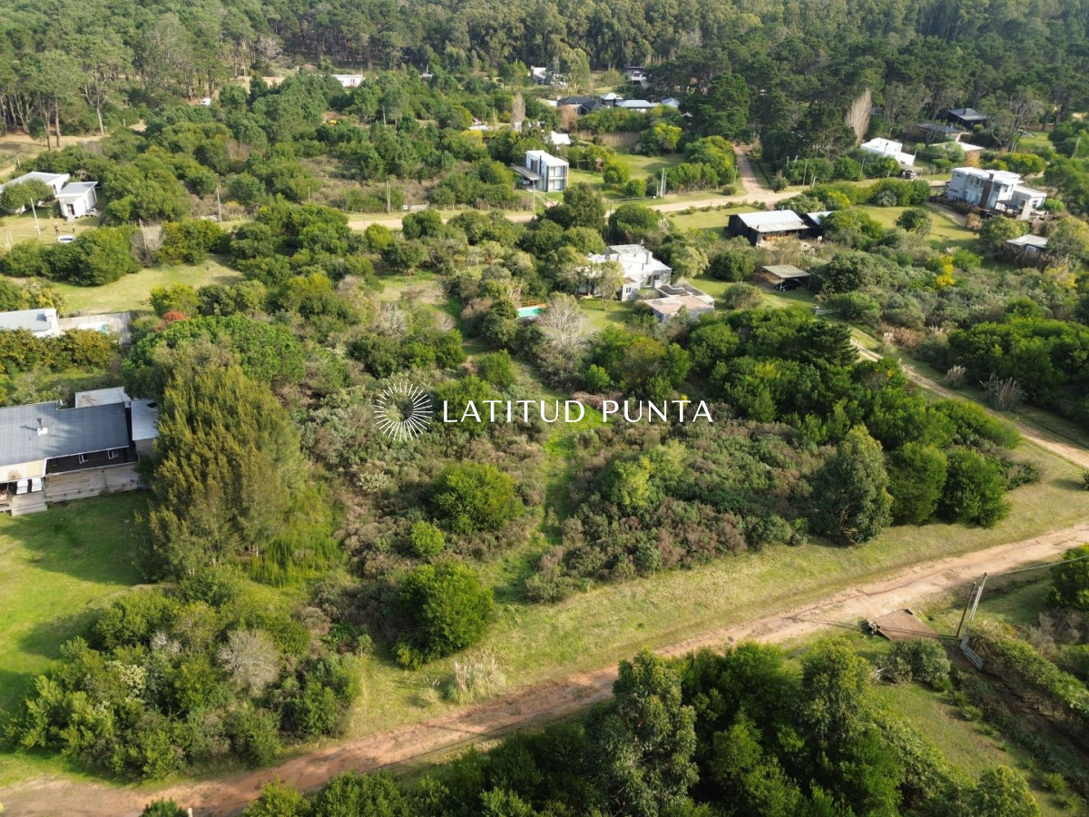 San Vicente - GoPunta - Portal Inmobiliario de Punta del Este - Maldonado