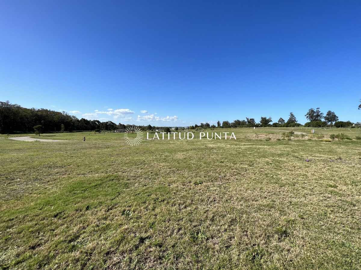 El Jaguel - GoPunta - Portal Inmobiliario de Punta del Este - Maldonado