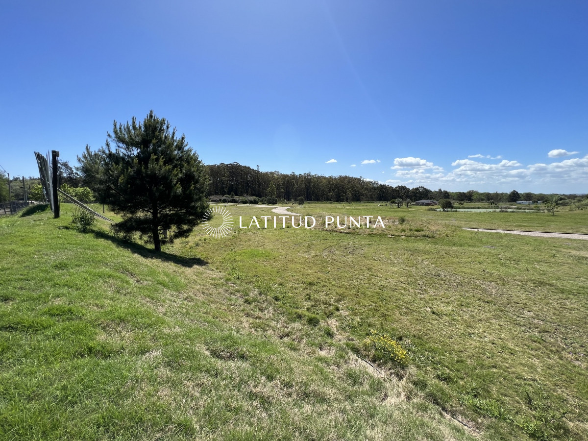 El Jaguel - GoPunta - Portal Inmobiliario de Punta del Este - Maldonado