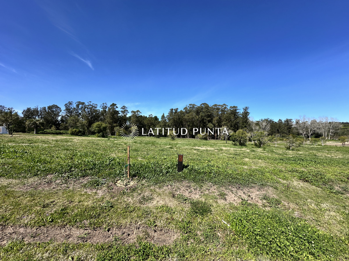 La Jacinta - GoPunta - Portal Inmobiliario de Punta del Este - Maldonado