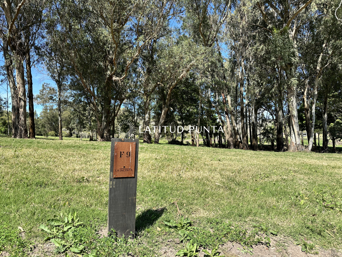 La Jacinta - GoPunta - Portal Inmobiliario de Punta del Este - Maldonado