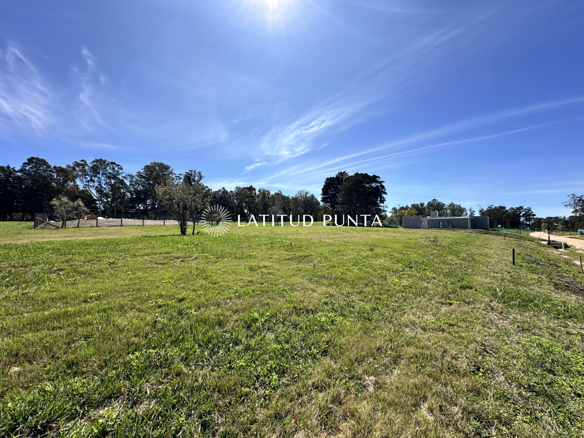 La Jacinta - GoPunta - Portal Inmobiliario de Punta del Este - Maldonado