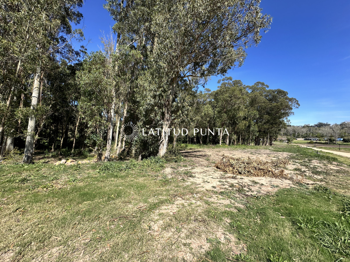 La Jacinta - GoPunta - Portal Inmobiliario de Punta del Este - Maldonado
