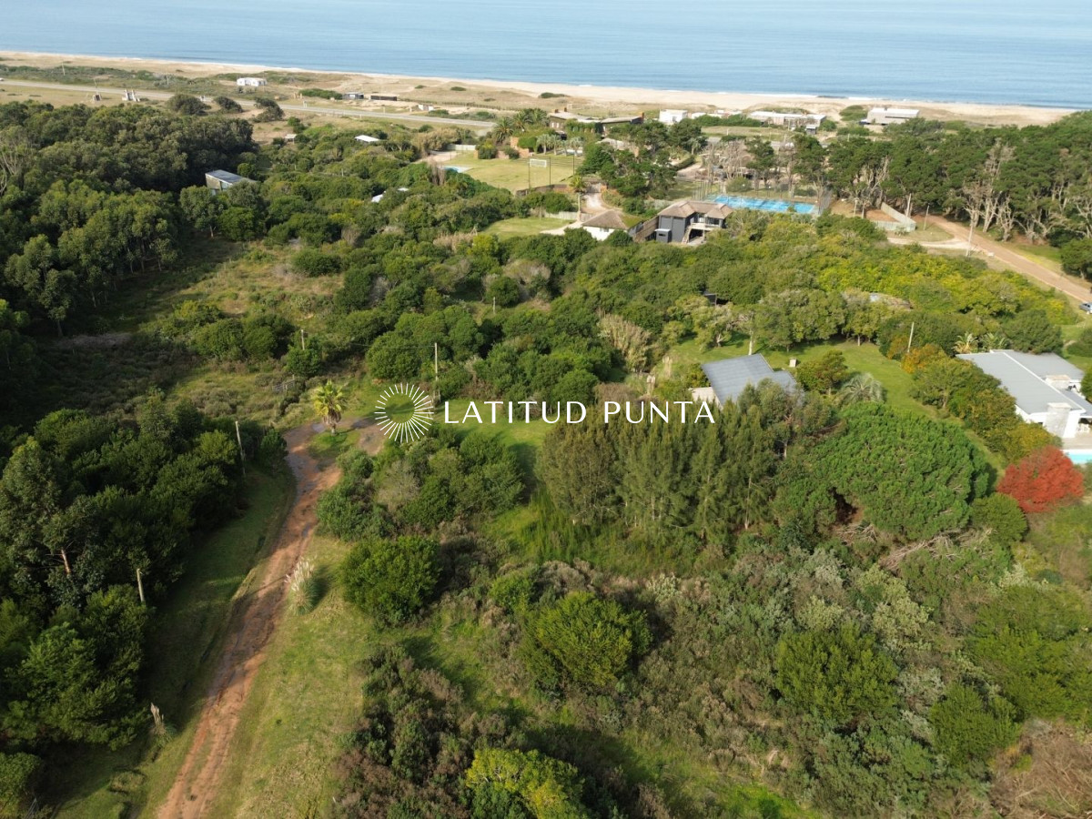 San Vicente - GoPunta - Portal Inmobiliario de Punta del Este - Maldonado