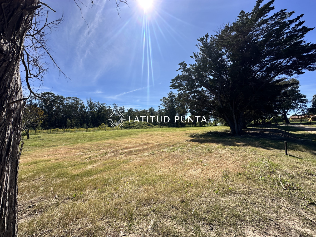 La Jacinta - GoPunta - Portal Inmobiliario de Punta del Este - Maldonado