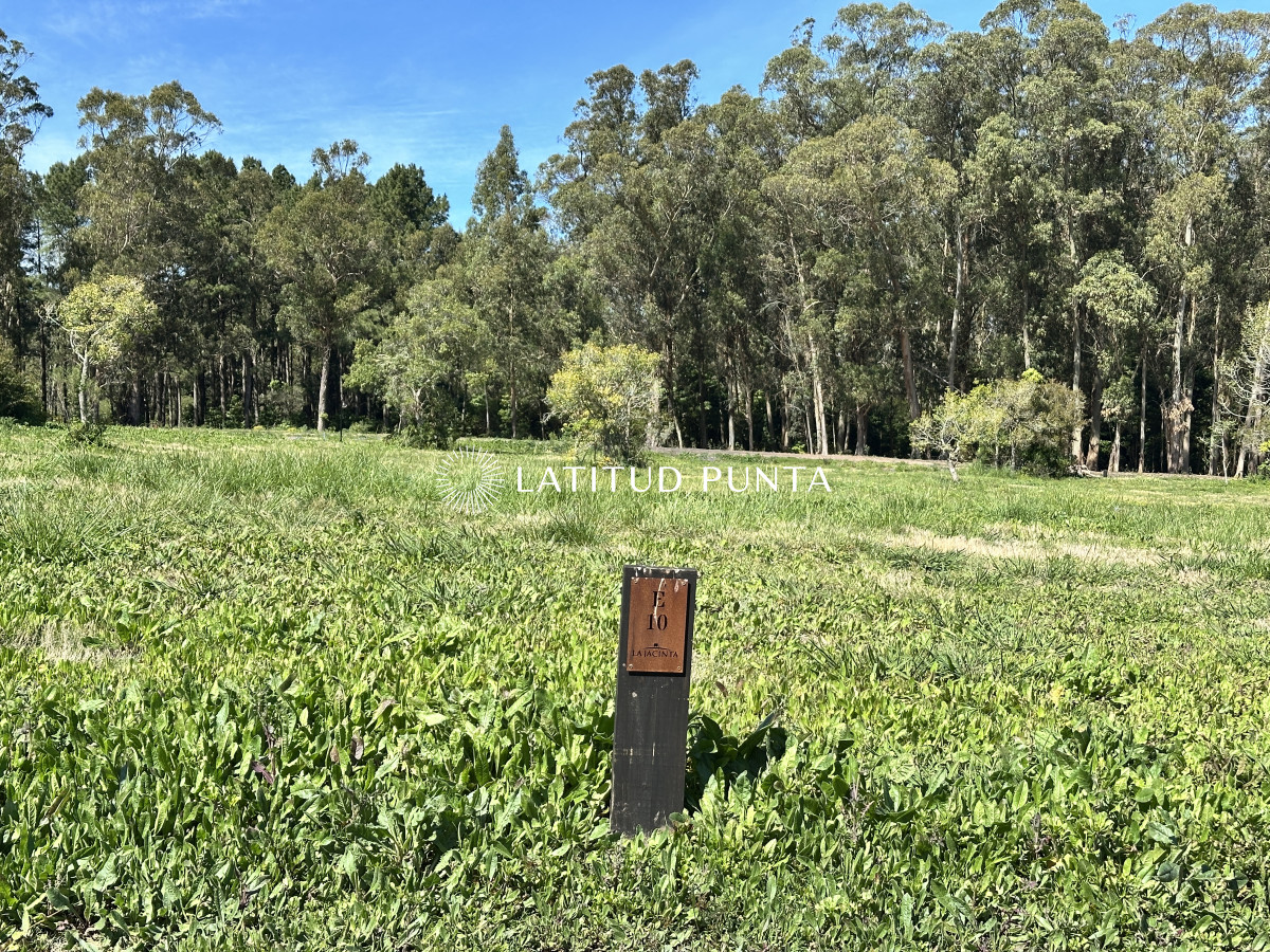 La Jacinta - GoPunta - Portal Inmobiliario de Punta del Este - Maldonado