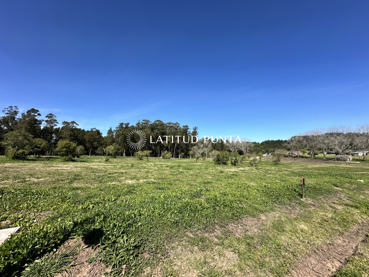 La Jacinta - GoPunta - Portal Inmobiliario de Punta del Este - Maldonado