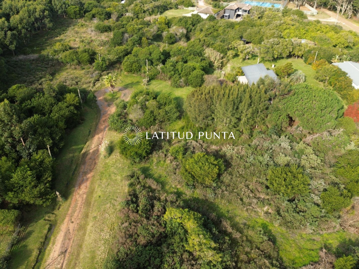 San Vicente - GoPunta - Portal Inmobiliario de Punta del Este - Maldonado