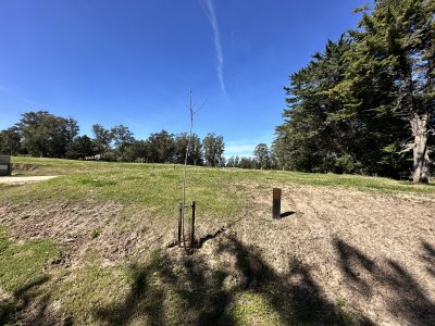 Lote en venta en La Jacinta