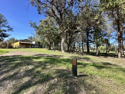 Lote en venta. La Jacinta