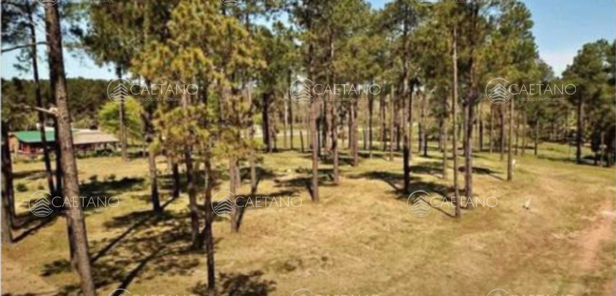 Maldonado - GoPunta - Portal Inmobiliario de Punta del Este - Maldonado
