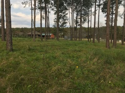 Amplio terreno con servicios