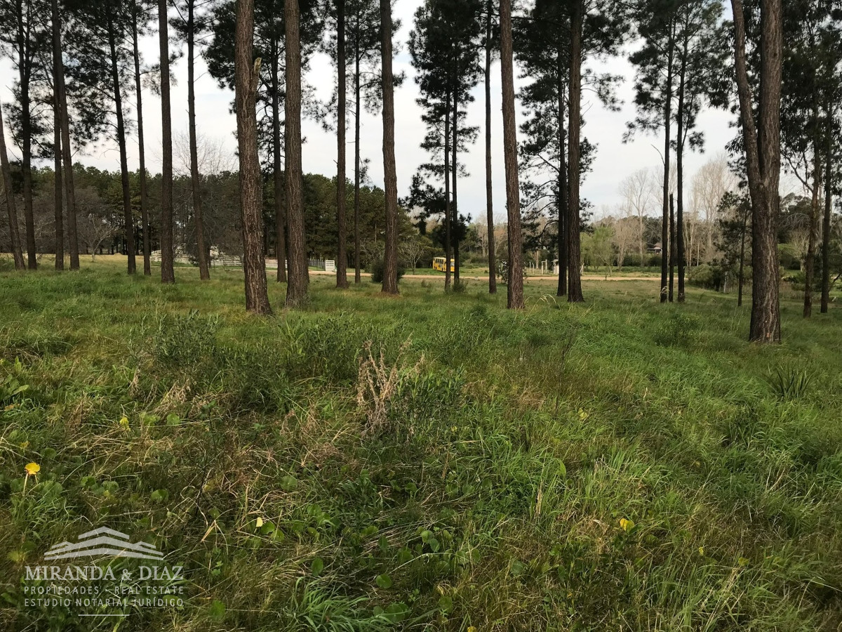Maldonado - GoPunta - Portal Inmobiliario de Punta del Este - Maldonado