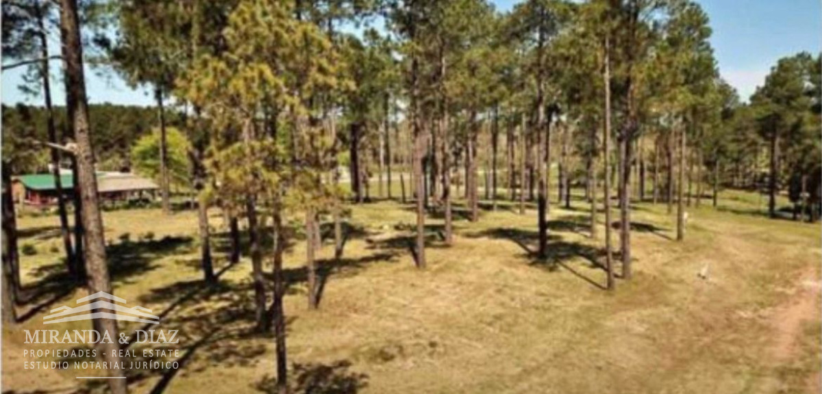 Maldonado - GoPunta - Portal Inmobiliario de Punta del Este - Maldonado