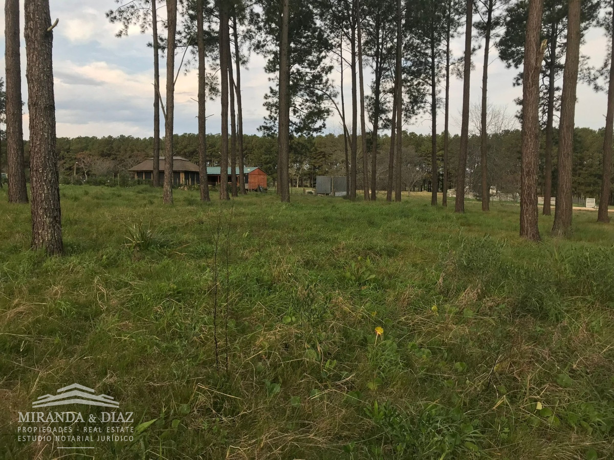 Amplio terreno con servicios