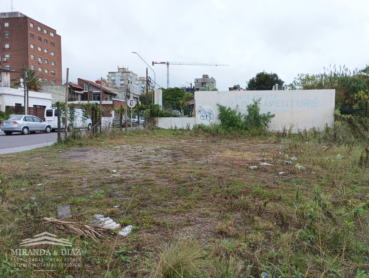 Centro Maldonado - GoPunta - Portal Inmobiliario de Punta del Este - Maldonado