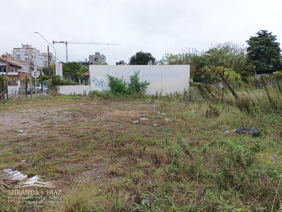 Centro Maldonado - GoPunta - Portal Inmobiliario de Punta del Este - Maldonado