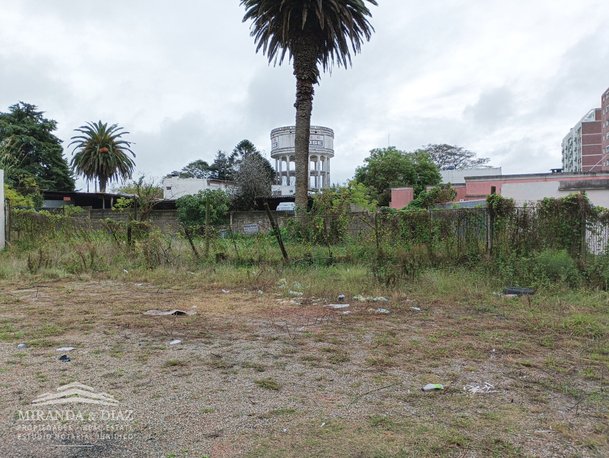 Centro Maldonado - GoPunta - Portal Inmobiliario de Punta del Este - Maldonado