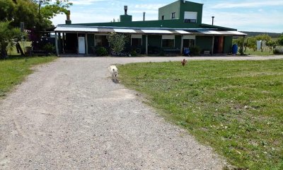 Chacra de 20 Hectareas en Ruta 12