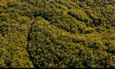 Chacra 5 Hectáreas en Sierras de Aiguá con monte nativo