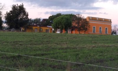 Venta Chacra en Tala - Canelones