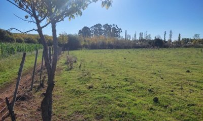 Venta Chacra 4,5 Ha en Paraje Las Violetas - Canelones