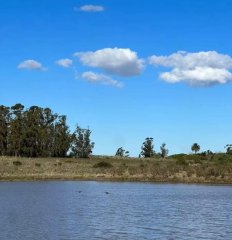 Venta Campo 26 hectáreas en Paso del Medio - Canelones