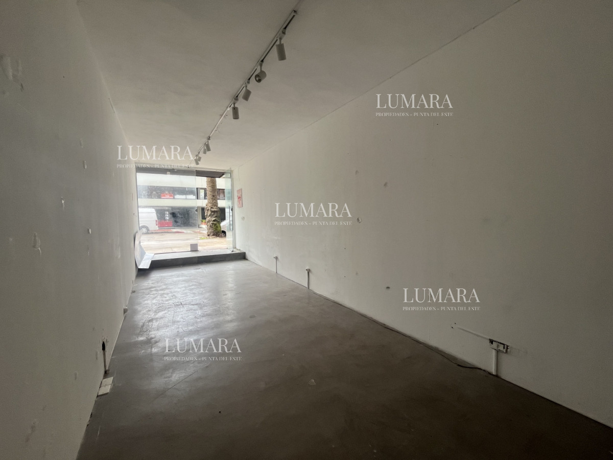 Local Comercial ID.3352 - Local en Península 