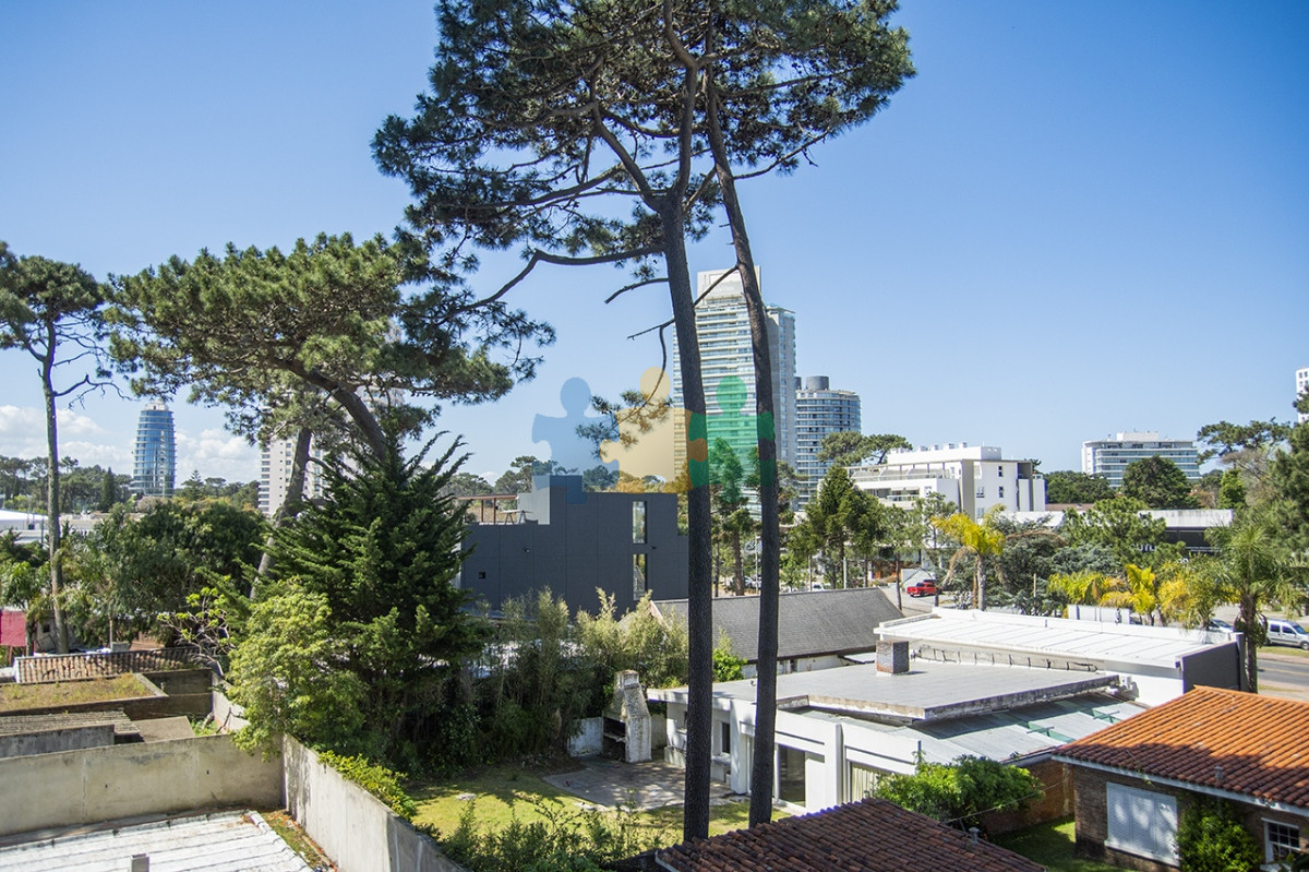 Aidy Grill - GoPunta - Portal Inmobiliario de Punta del Este - Maldonado