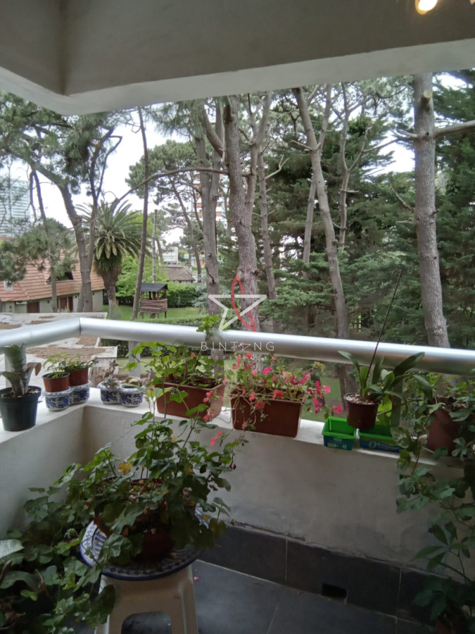 Aidy Grill - GoPunta - Portal Inmobiliario de Punta del Este - Maldonado