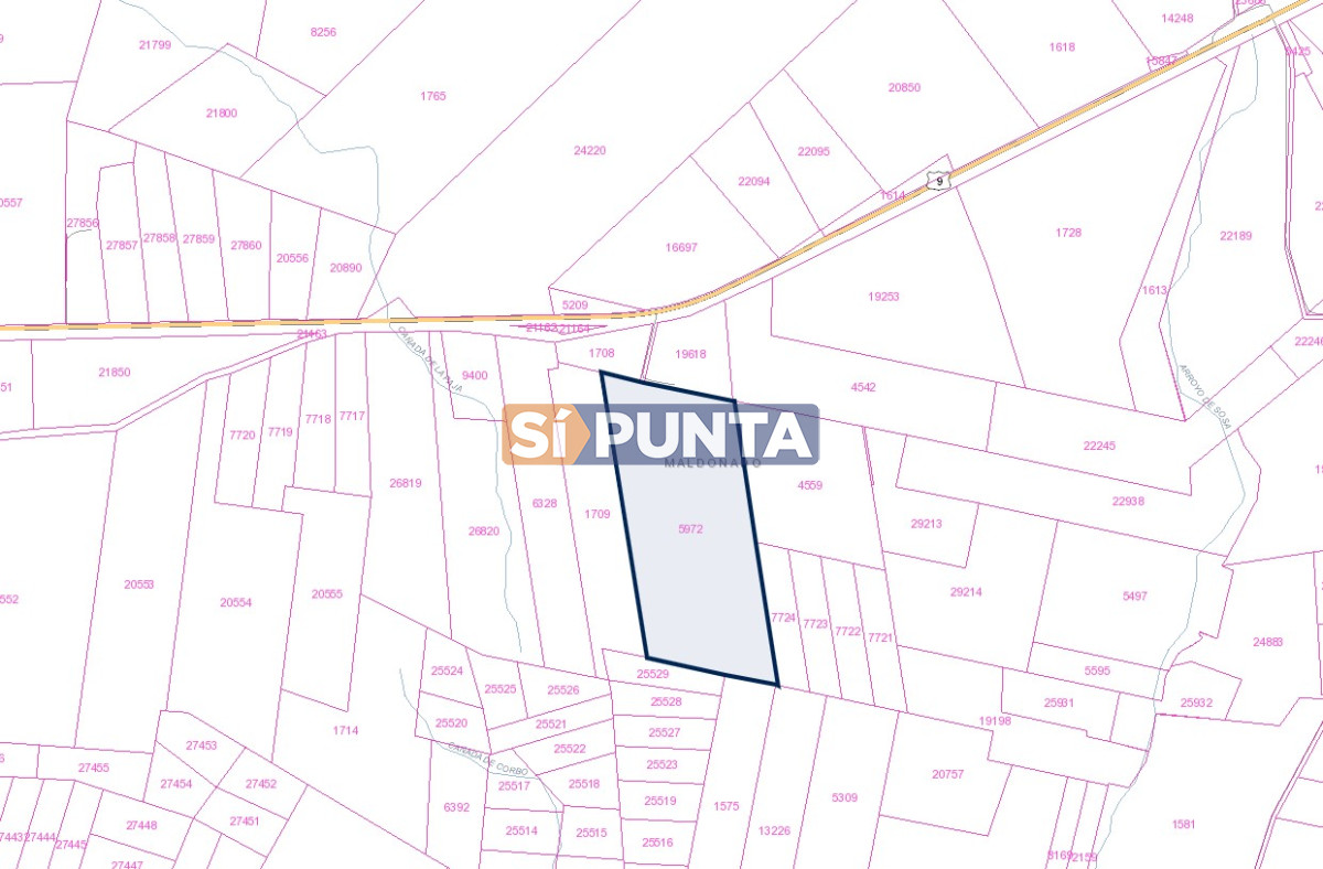 Campo Ref.6943 - Campo de gran tamaño en la zona de Maldonado