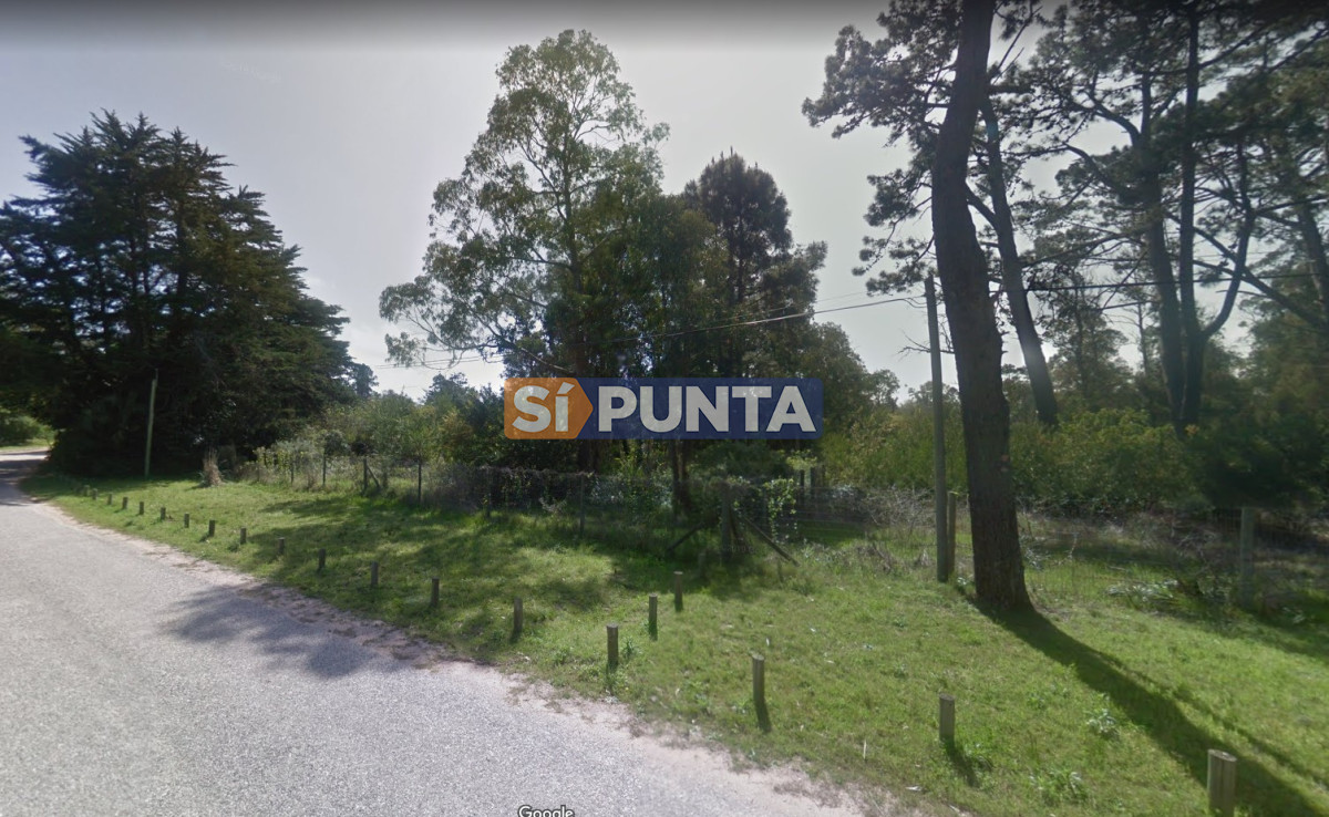Terreno de gran superficie en zona habitada todo el año. - SPT9058T
