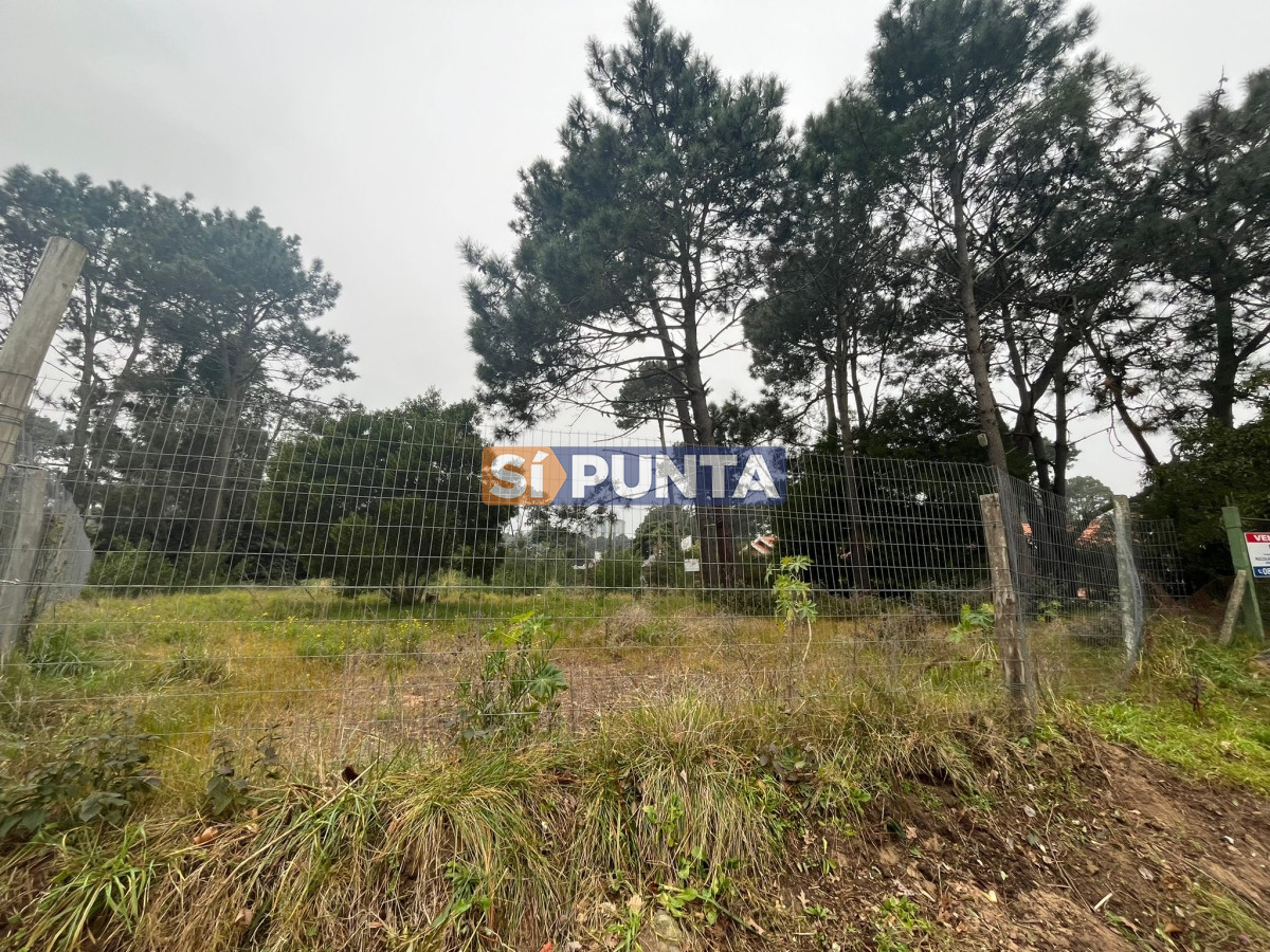 Chacra ID.10511 - Terreno ubicado en zona residencial.