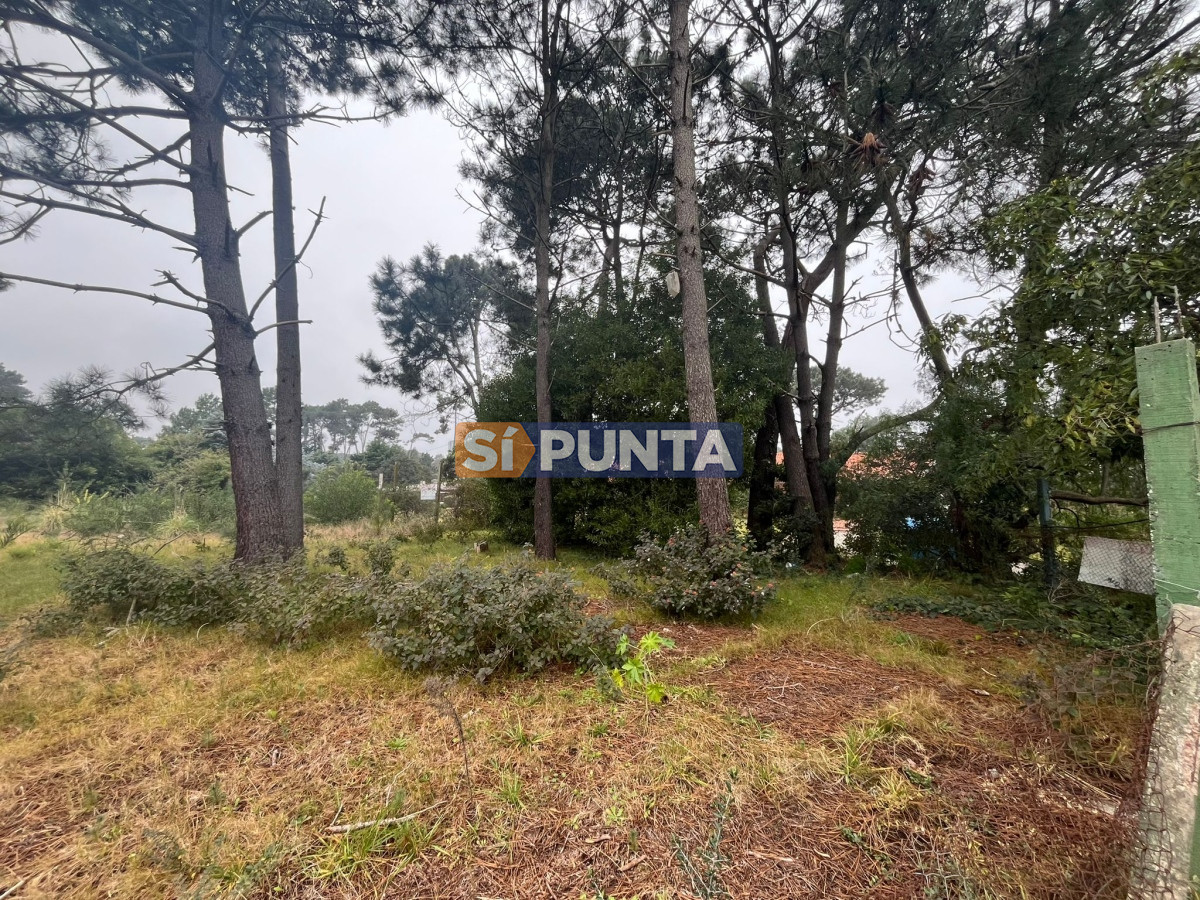 Chacra ID.10511 - Terreno ubicado en zona residencial.