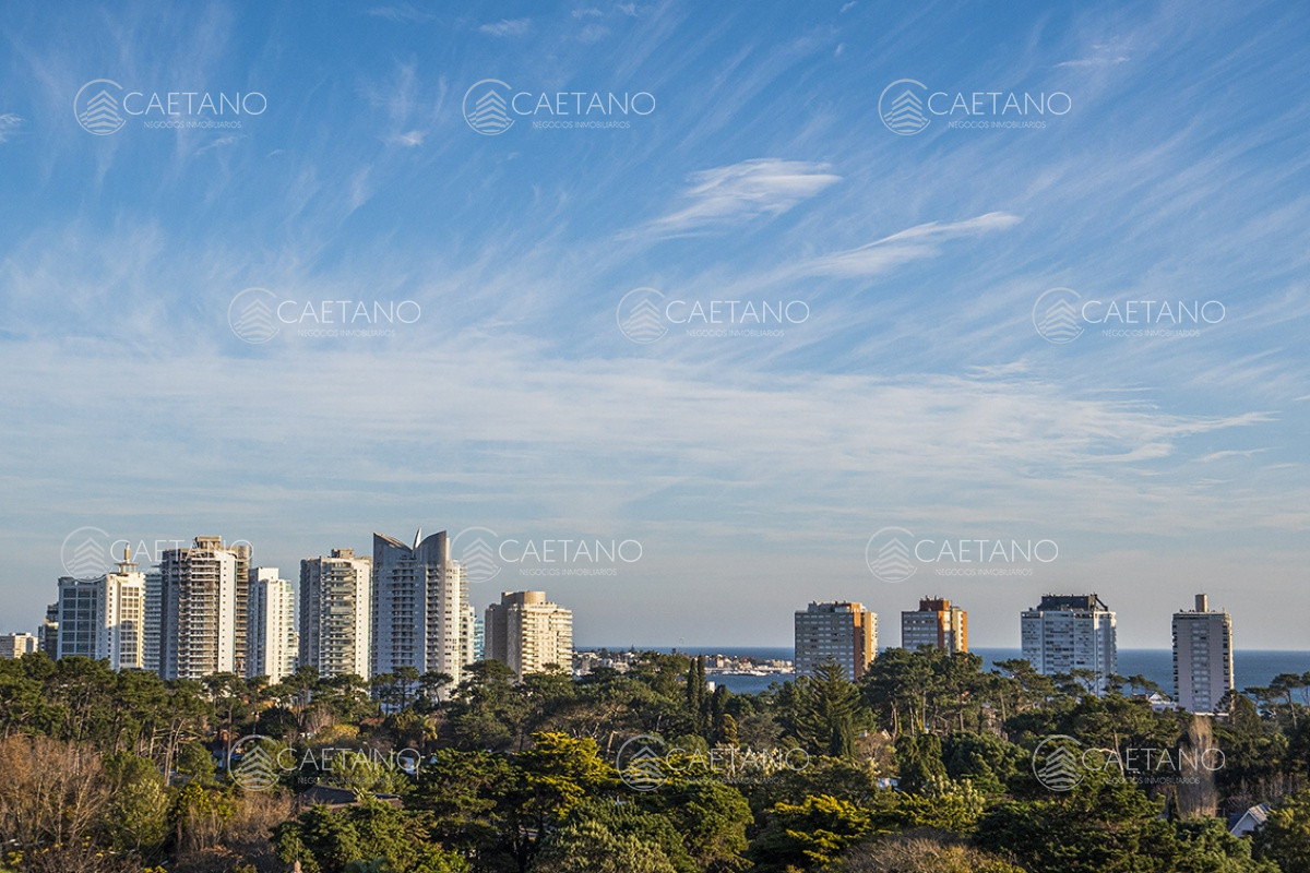 Roosevelt - GoPunta - Portal Inmobiliario de Punta del Este - Maldonado