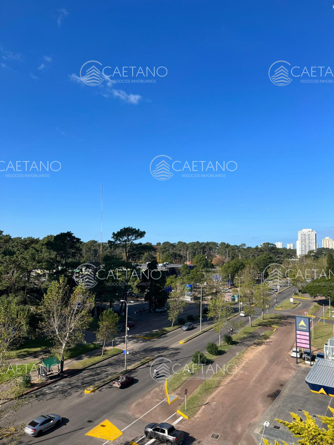 Roosevelt - GoPunta - Portal Inmobiliario de Punta del Este - Maldonado