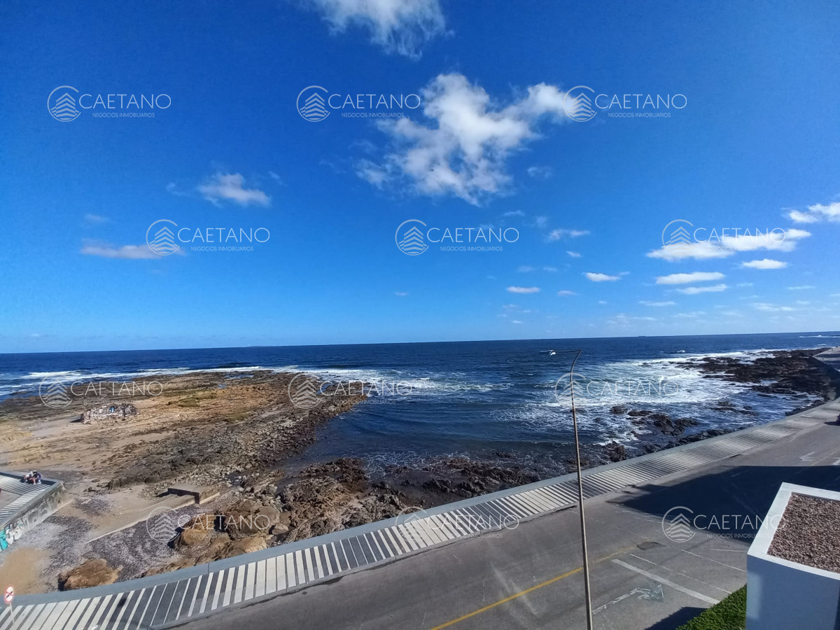 Brava - GoPunta - Portal Inmobiliario de Punta del Este - Maldonado