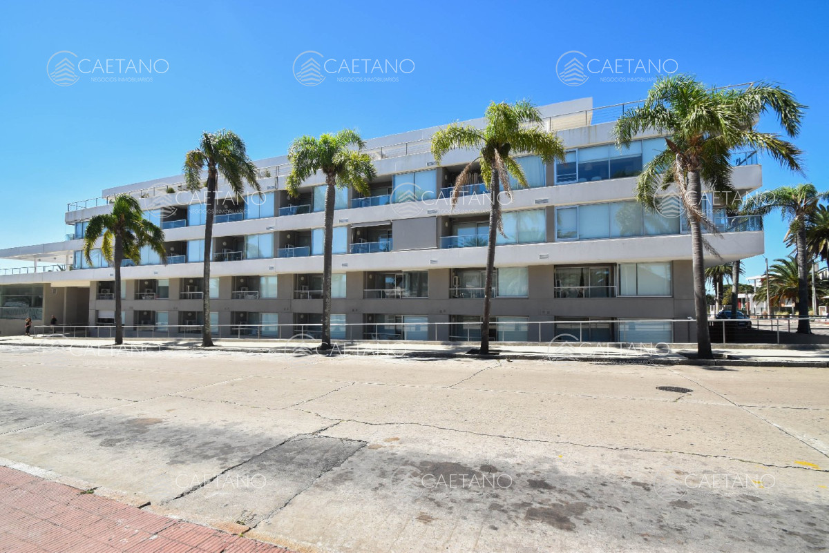Puerto - GoPunta - Portal Inmobiliario de Punta del Este - Maldonado