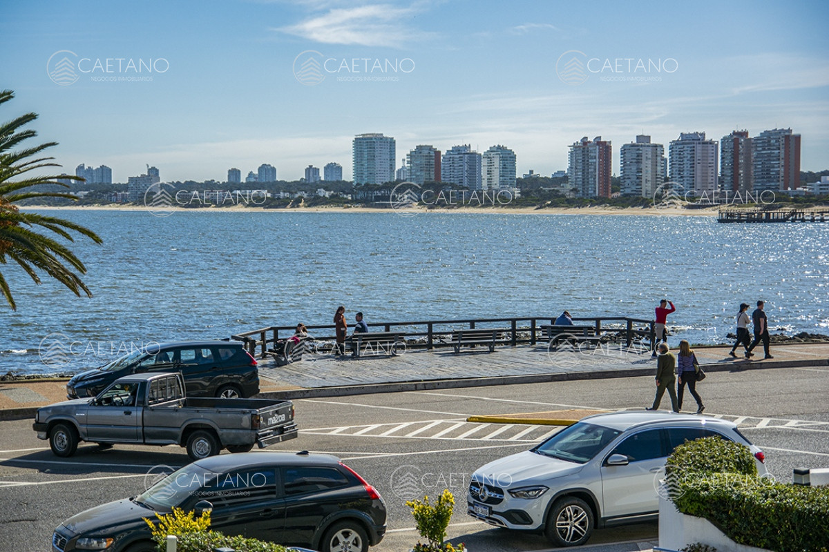 Puerto - GoPunta - Portal Inmobiliario de Punta del Este - Maldonado