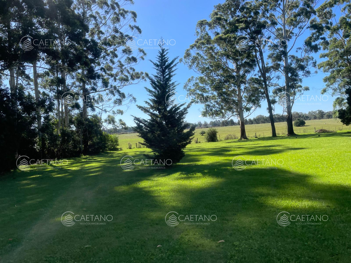 Punta Ballena - GoPunta - Portal Inmobiliario de Punta del Este - Maldonado