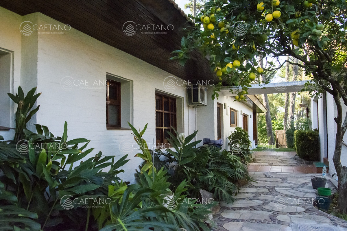 San Rafael - GoPunta - Portal Inmobiliario de Punta del Este - Maldonado