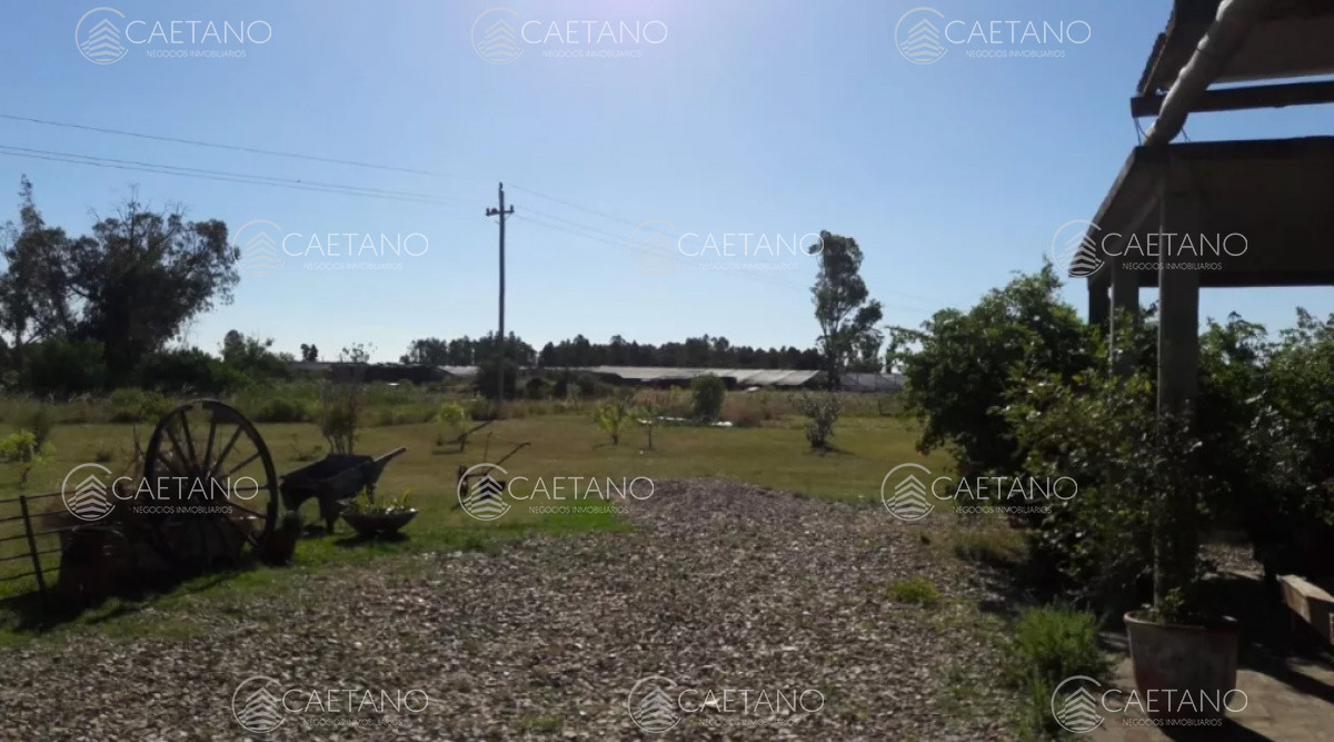 Ruta 9 - GoPunta - Portal Inmobiliario de Punta del Este - Maldonado