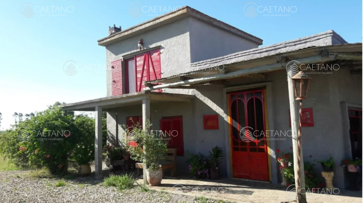 Ruta 9 - GoPunta - Portal Inmobiliario de Punta del Este - Maldonado